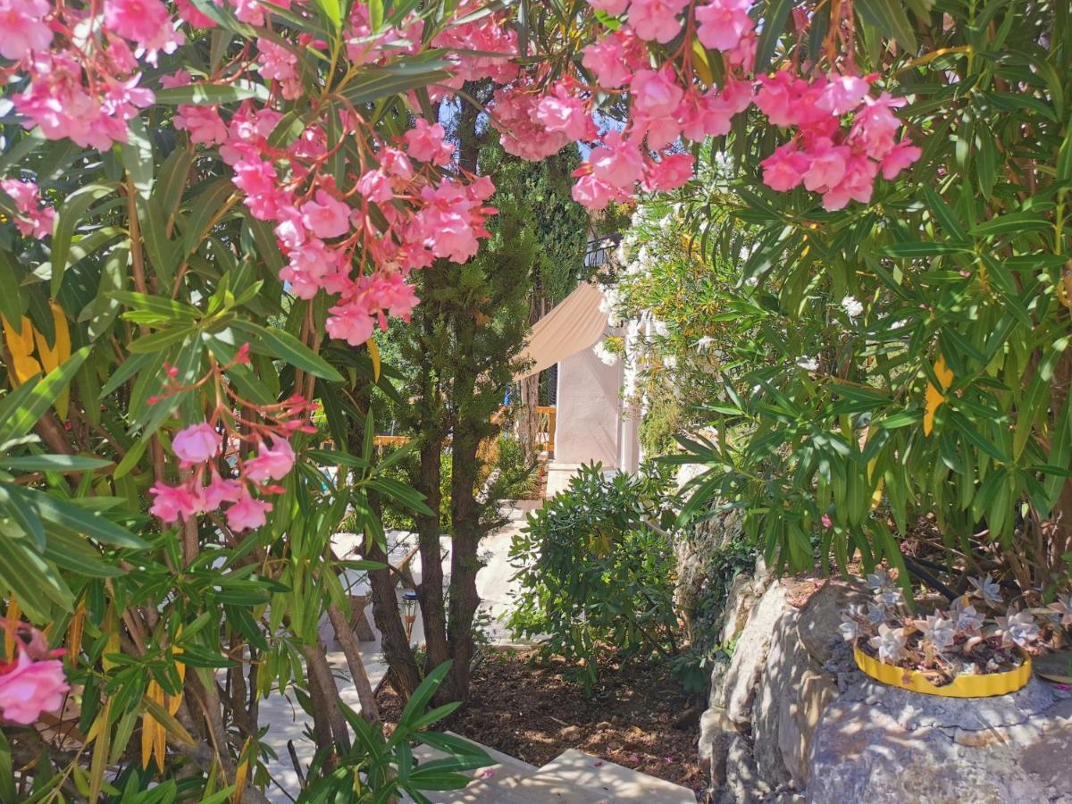 Guest House Casa Cassien Montauroux Extérieur photo